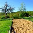 le tribunal P&eacute;tanque